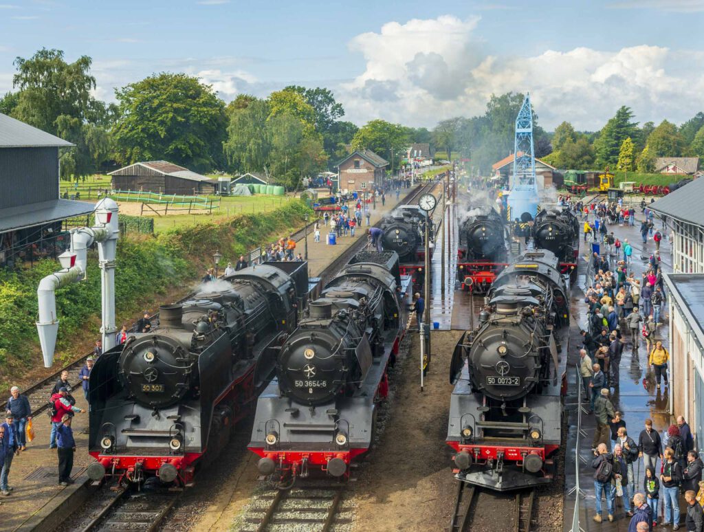 50 3681